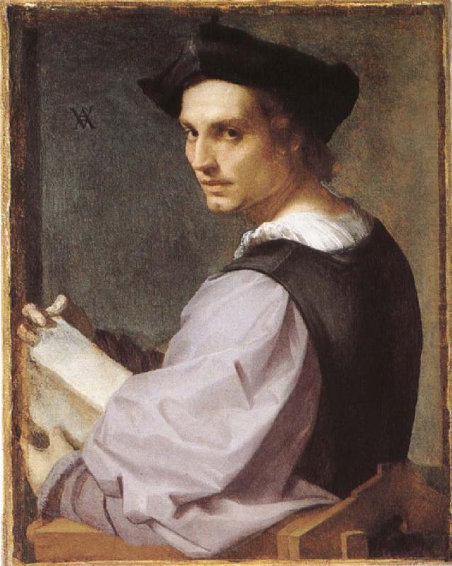 Andrea del Sarto Portratt of young man china oil painting image